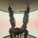 달래내로 | 다크앤라이트 재방문 - 비프 토마토 파스타, 비스큐 리조또 내돈내산 후기