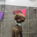 토곡동물병원 이미지