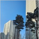 씨유 고산수자인2단지점 | 고산수자인을 품은 의정부 신흥 주거벨트, 고산유명한공인중개사사무소 경험담