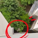 청라한화꿈에그린아파트 경로당 | 방충망 틀이 아래로 떨어졌어요! 청라아파트 긴급 제작 후기(feat.한화꿈에그린메카우스)