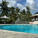 포시즌비치호텔 | 닛코 호텔 괌 수영장, 건비치 및 조식 부대시설 (무는 물고기 조심)