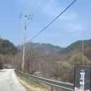 거창-거창-5 | [거창 벚꽃] 대실패 후기 - 병곡마을 &amp; 임불마을 수양벚꽃길 (26년 3월)