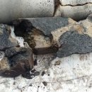 상명축산 이미지