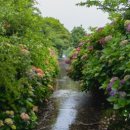 동광리-8 이미지