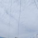 주택 담장 앞 이미지