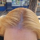 버스정류소_아이파크아파트.백석중학교.실로암안과 | 등촌역미용실 By.Moon Hair 예쁘게 뿌리염색 정리