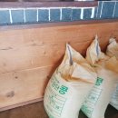 애월오후 민박 이미지