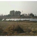 망성면사무소 이미지