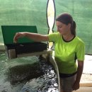 덕재농장 | 호주다윈 일자리정보(Barramundi farm을 다녀온 후기!)