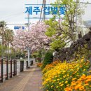 회수사거리 네이버블로그