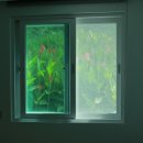 사량도바다소리 이미지