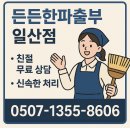 일산파출부 살림도우미 든든한 파출부 일산점