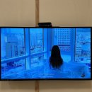 서울 근교 화성 애견동반 글램핑장 추천, 리프레시글램핑&amp;카라반 내돈내산 후기