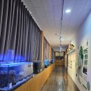 경북대학교 박물관 | 군위 아이랑 가볼만한곳 실내 경북대학교 자연사박물관