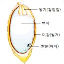 유나농산