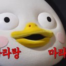 바디찬스짐 이미지