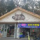 공지천 자전거대여 이미지