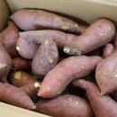 남궁농원 이미지