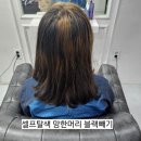 나비헤어 익산영등점