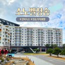 소노벨 청송 패밀리 스탠다드 취사형 클린형 차이와 주차 꿀팁