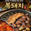 정자동] 정자동 프리미엄 한돈의 영롱한 빛깔에 반하고, 가성비에 두 번 놀란 쩡잇의 복돼지 솔직 후기! ✨