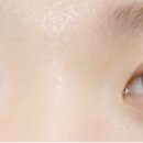 눈썹쟁이 이미지