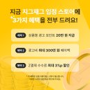 지그재그 광고 ROAS 3,000%, 구매전환액 2,700만원 달성한 후기