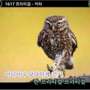 염약국 이미지