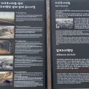 알뜨르식당 이미지