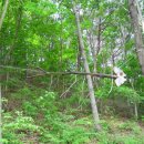 추동마을회관 이미지