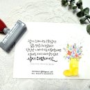 캘리앤조이