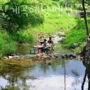 봉미산 계곡 예당 이미지