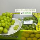 전주사랑청과 | [익산 추석 선물] 목천동 ‘이리청과’ 도매 소매 과일가게 추천