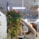 레이크케이크 이미지