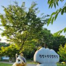 B19-1 | 광명도덕산 캠핑장 B19 데크 퇴근박 매점 이용 후기