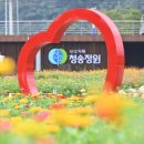 청송정원 이미지