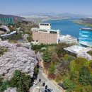 워커힐 - 진도군 진도대로 8452 | 워커힐