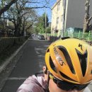 GS25 밀양점 이미지