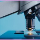 연세로의료의원 이미지