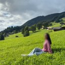 산들샬레 이미지