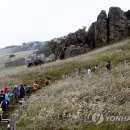 알프스행정 이미지