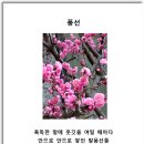 디카시로 일상을 빚다 3)_아임코리안 게재 26.07.18 / 권순자 이미지