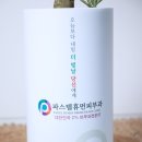 파스텔휴먼피부과의원 이미지