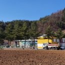 평창농업협동조합 방림지점 네이버블로그