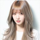 멉씨