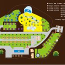 동강전망휴양림오토캠핑장 이미지