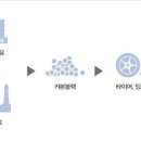 카본뱅크