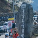 꽃감분식
