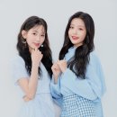 사쿠라 이미지