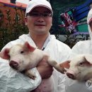 봉영농장 이미지